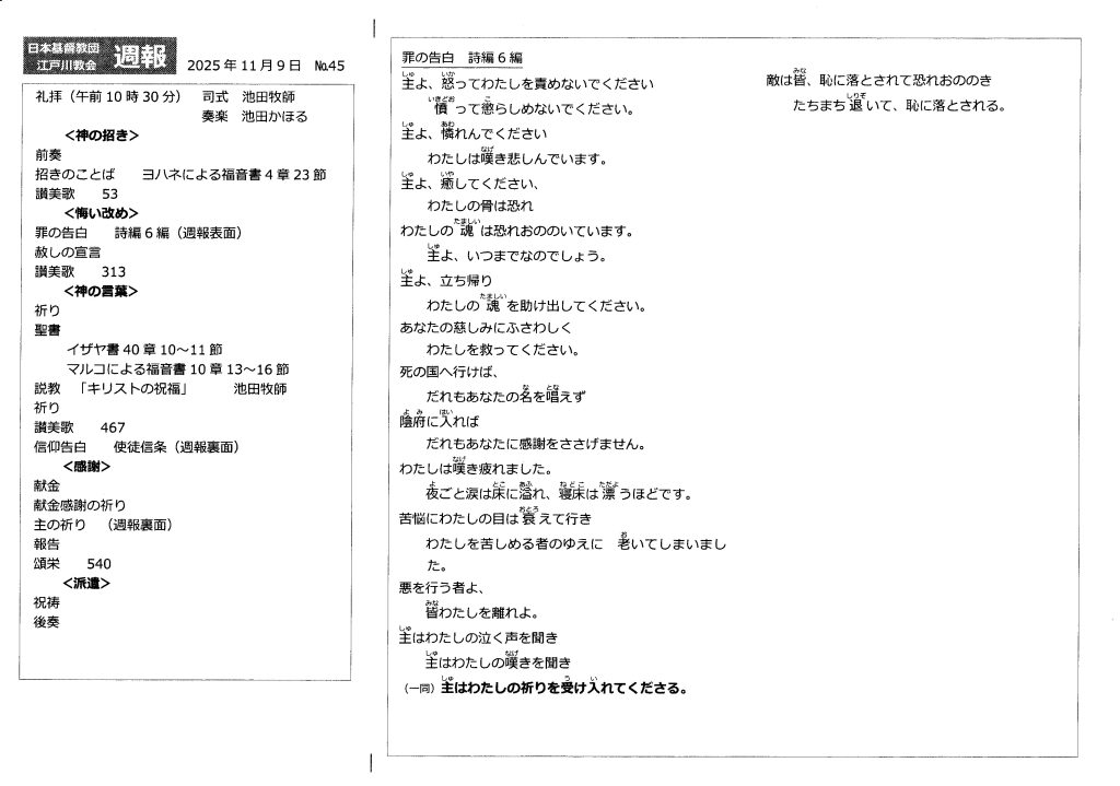 週報１１月９日