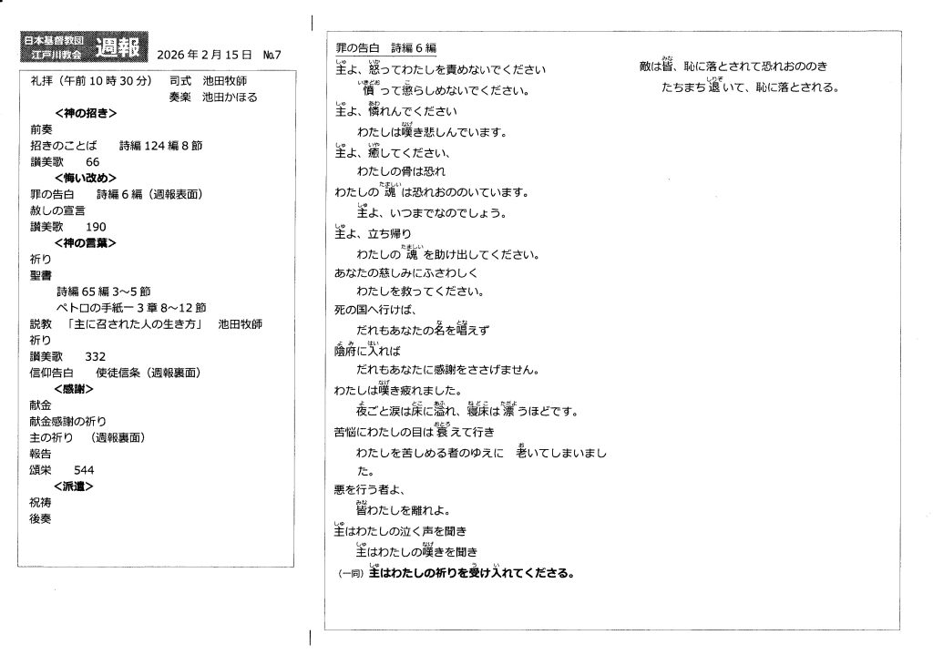 週報２月１５日